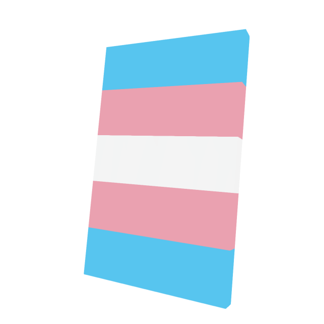 Transgender Flag Cape