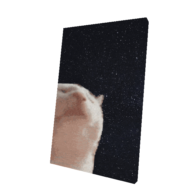 Cat Jam Cape