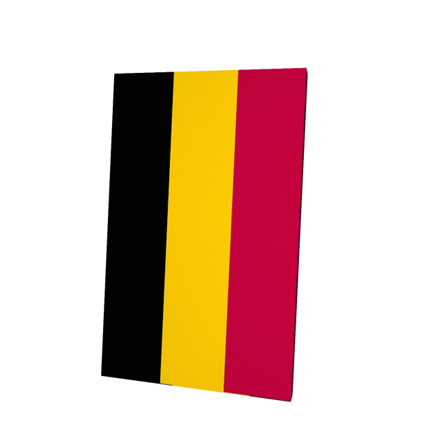 Belgium Flag Cape