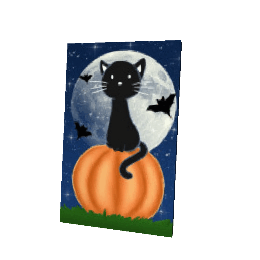 Black Cat Cape