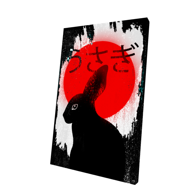 Japanese Rabbit Cape Black