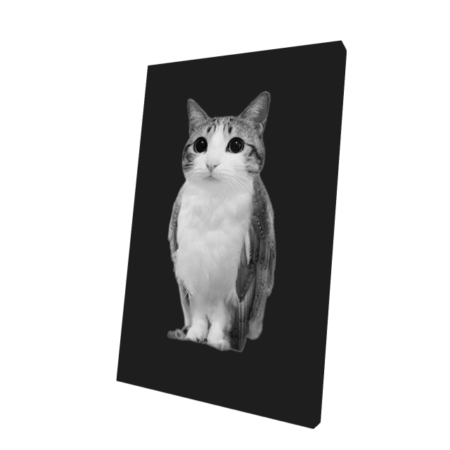 Meowl Cape