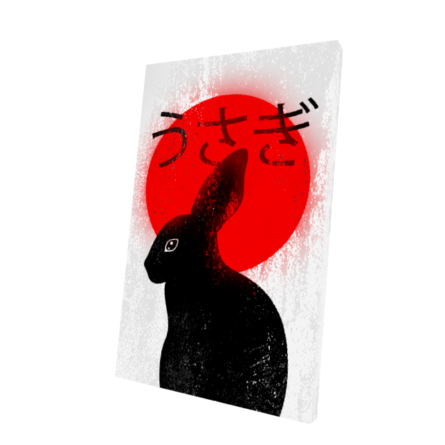 Japanese Rabbit Cape White