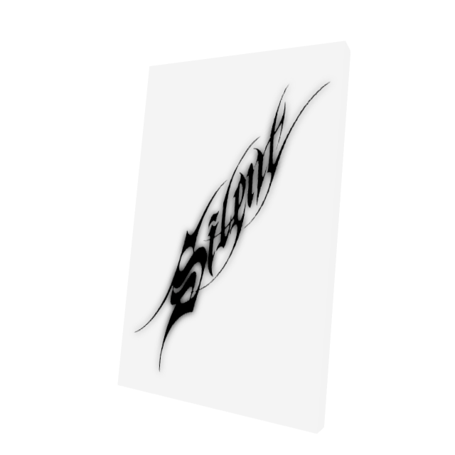 Silent Caligraphj Cape
