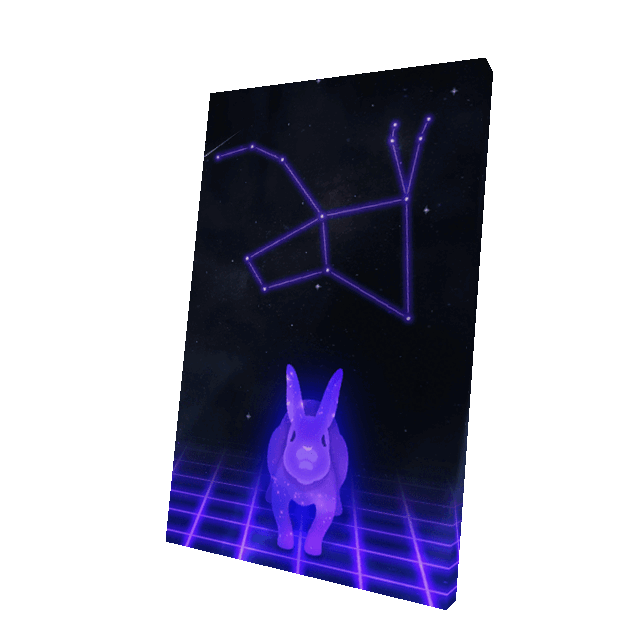 Neon Rabbit Cape