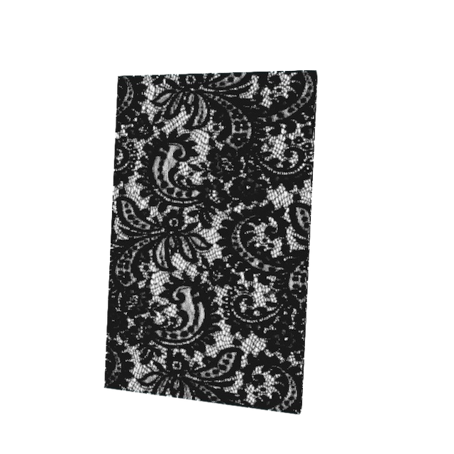 Black Abstraction Cape