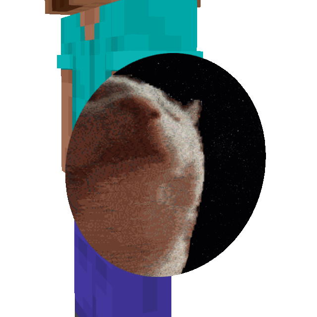 Cat Jam Shield