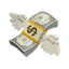 Money Icon