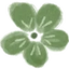 Clover Icon