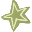 Green Star Icon