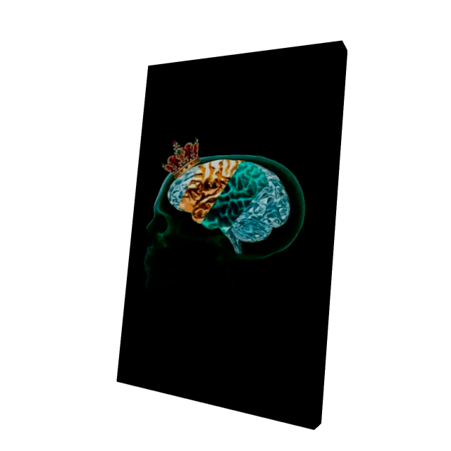 Brain Crown Cape
